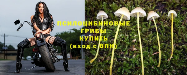 эйфоретик Бронницы