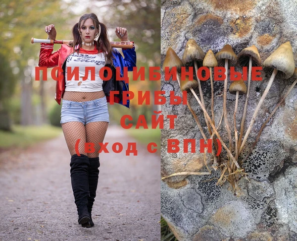 эйфоретик Бронницы