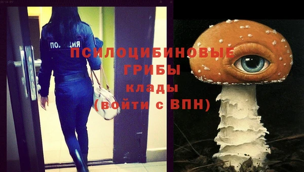 а пвп мука Бородино