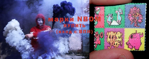 крисы Бугульма